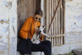 Jacks4You Majówka, Jack Russell Terrier (60)